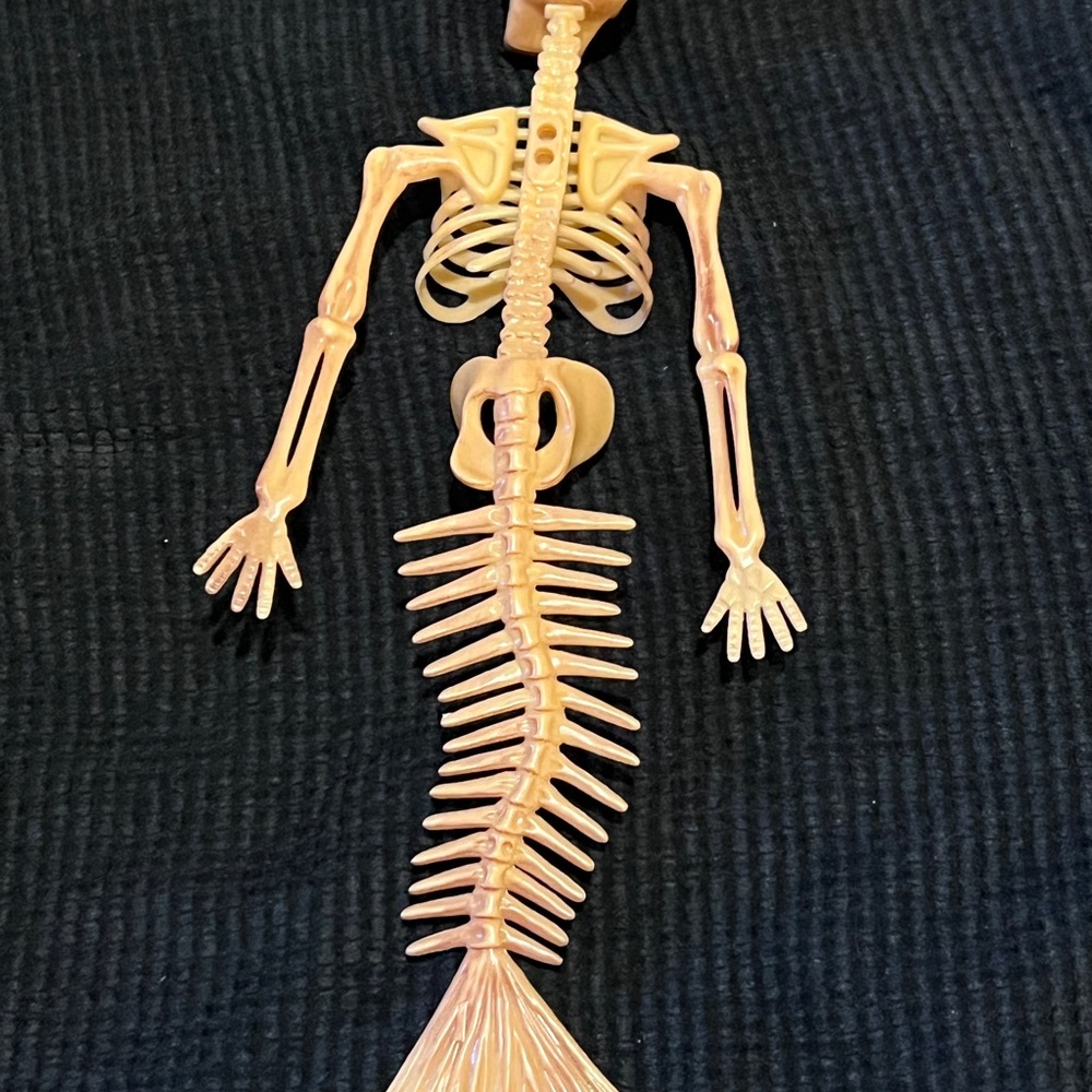 Mermaid skeleton - Picture 2 of 3